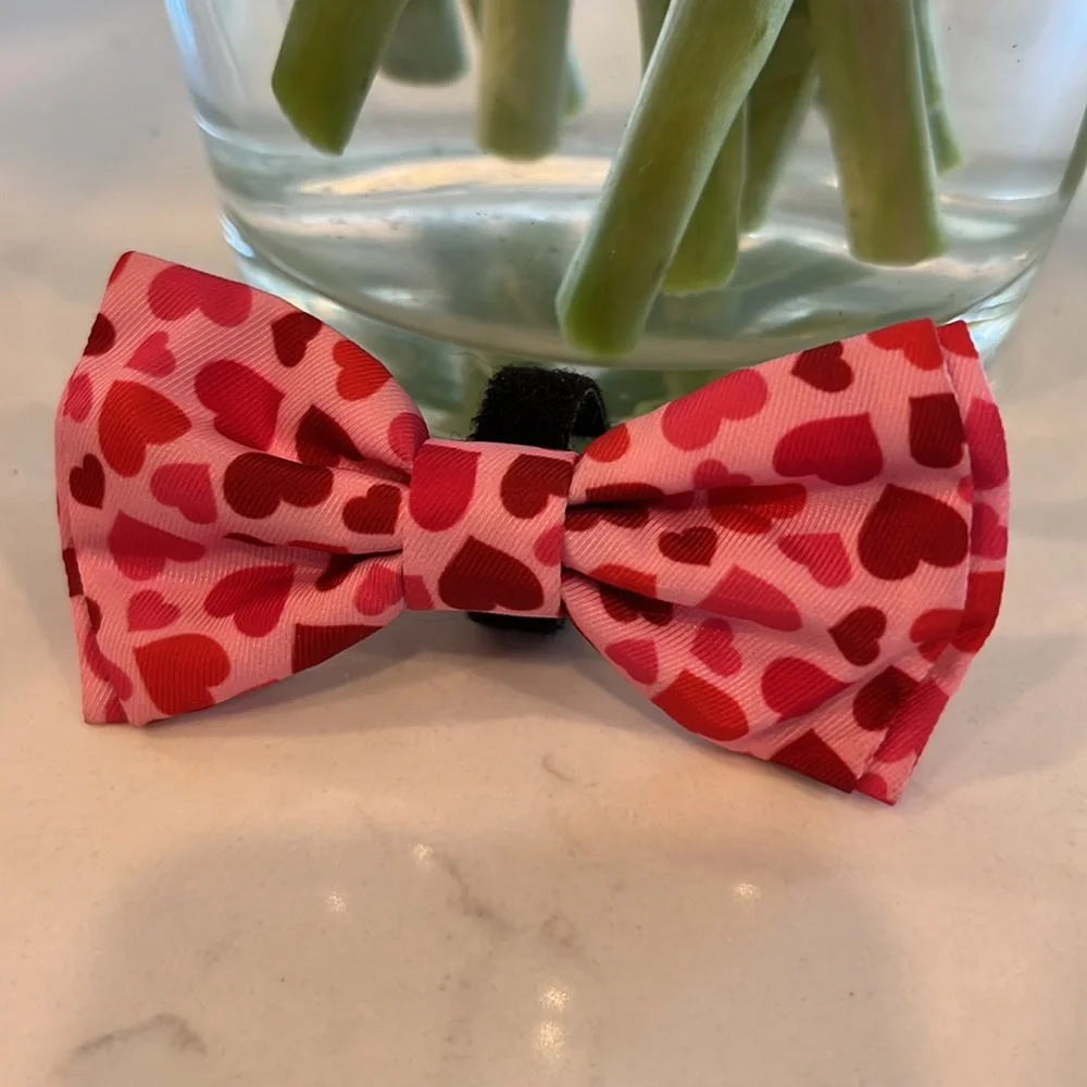 Dog Collar Bow | Velcro attachment, adjustable size